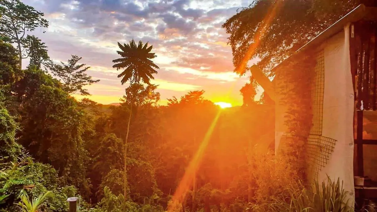 Magic Mena Rainforest Retreat By Tiny Away Mena Creek Australia