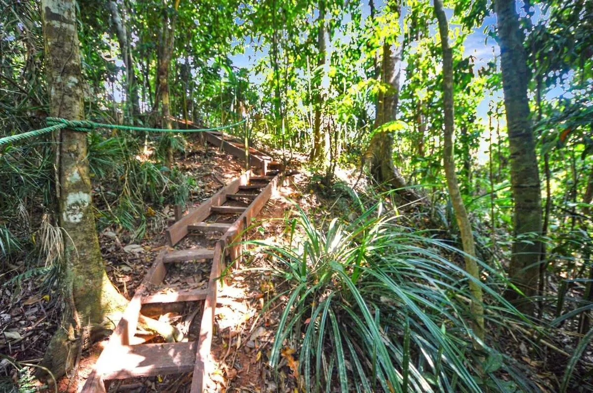 Holiday home Magic Mena Rainforest Retreat By Tiny Away Mena Creek