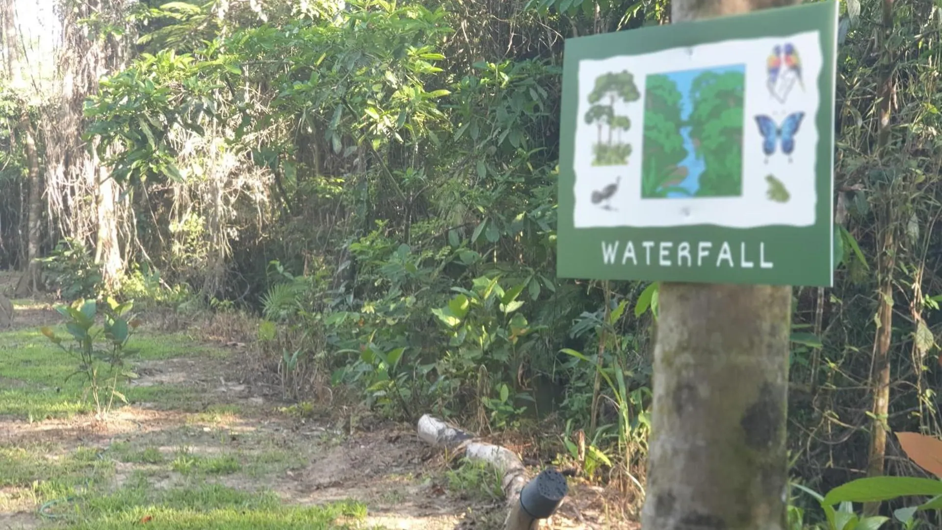 Magic Mena Rainforest Retreat By Tiny Away Mena Creek