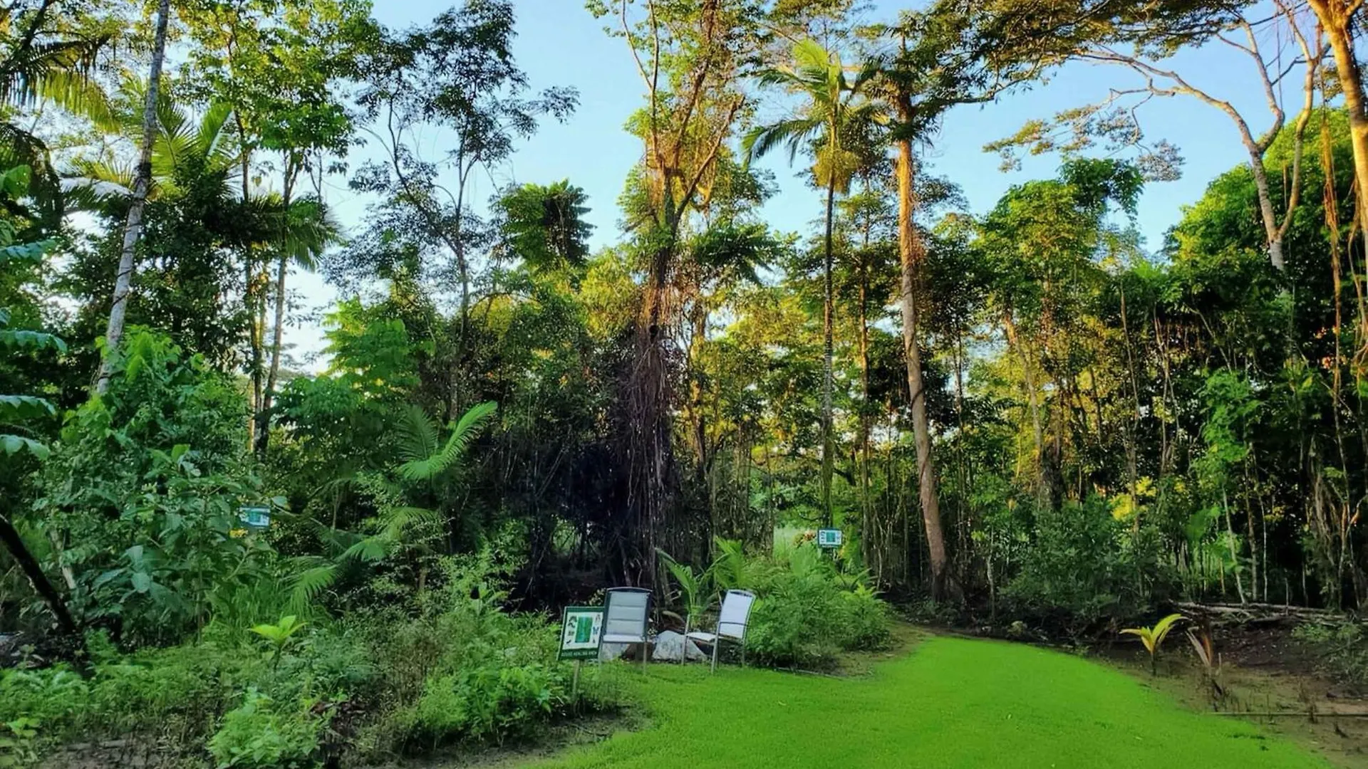 Holiday home Magic Mena Rainforest Retreat By Tiny Away Mena Creek