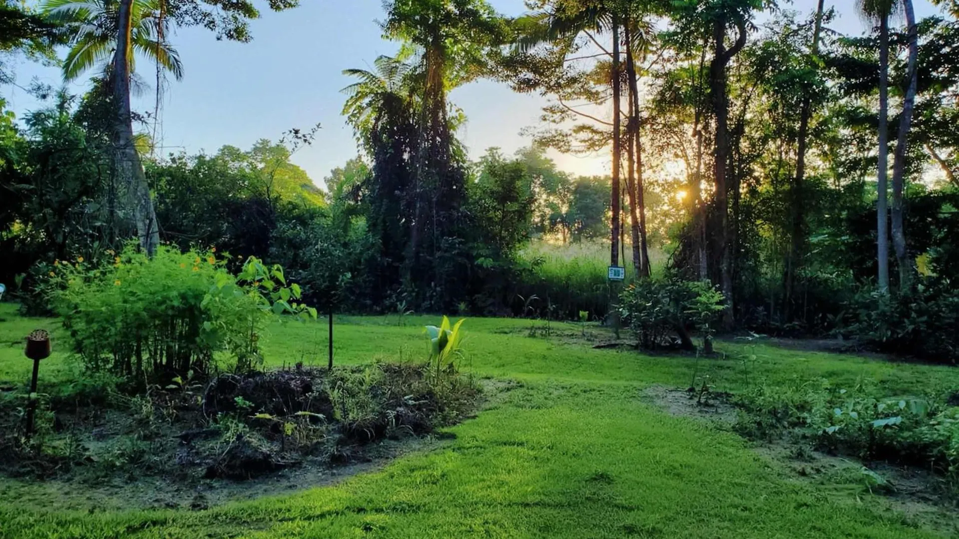 Magic Mena Rainforest Retreat By Tiny Away Mena Creek Australia