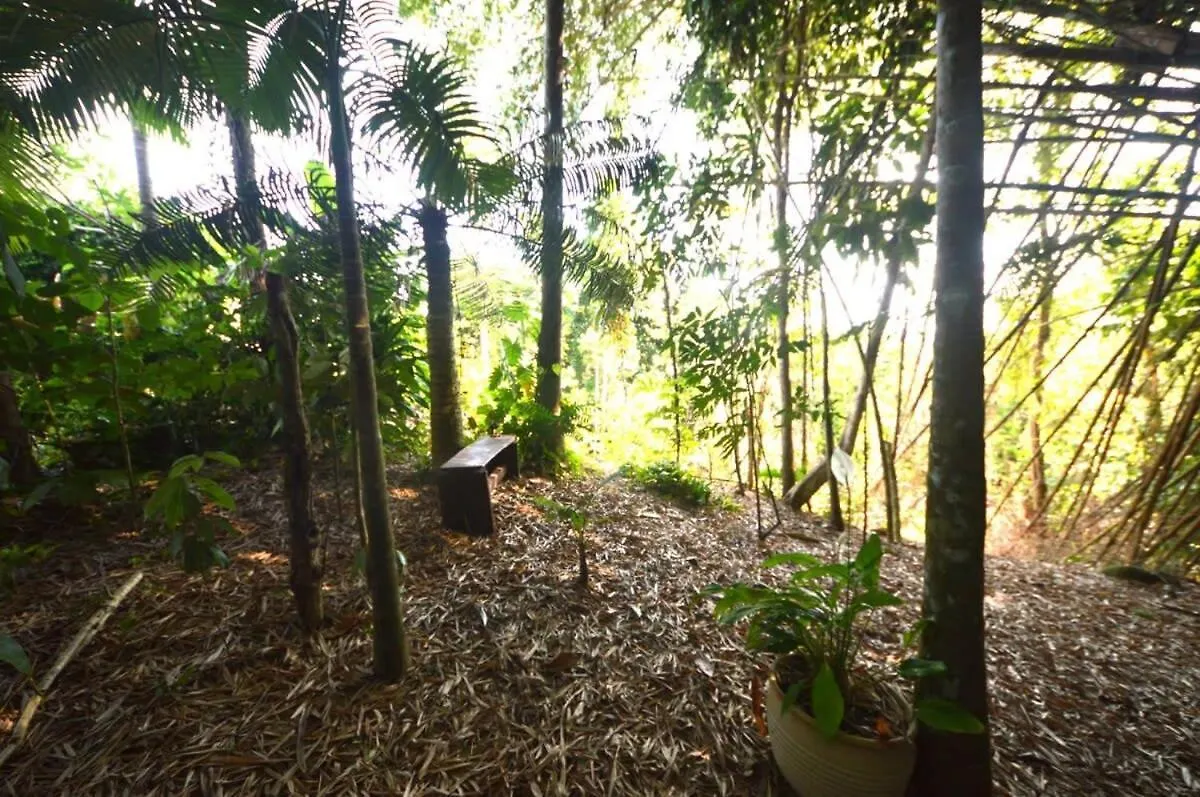 Сasa de vacaciones Magic Mena Rainforest Retreat By Tiny Away Mena Creek Australia